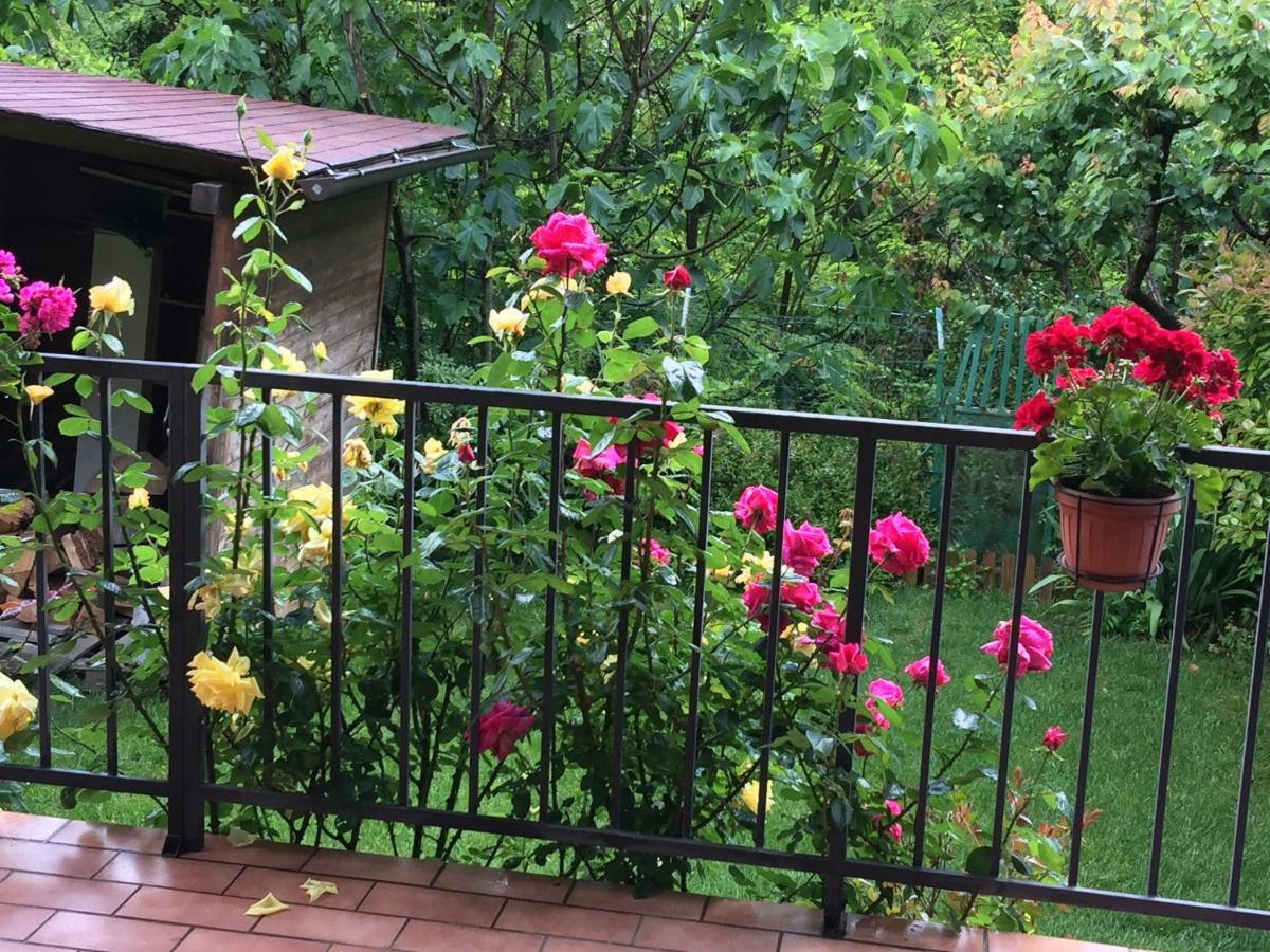 佩鲁贾Casa Ruggy公寓 外观 照片